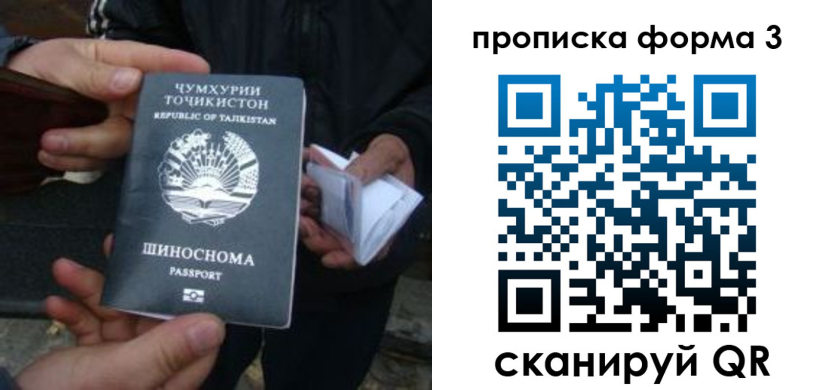прописка 2025 в Киришах